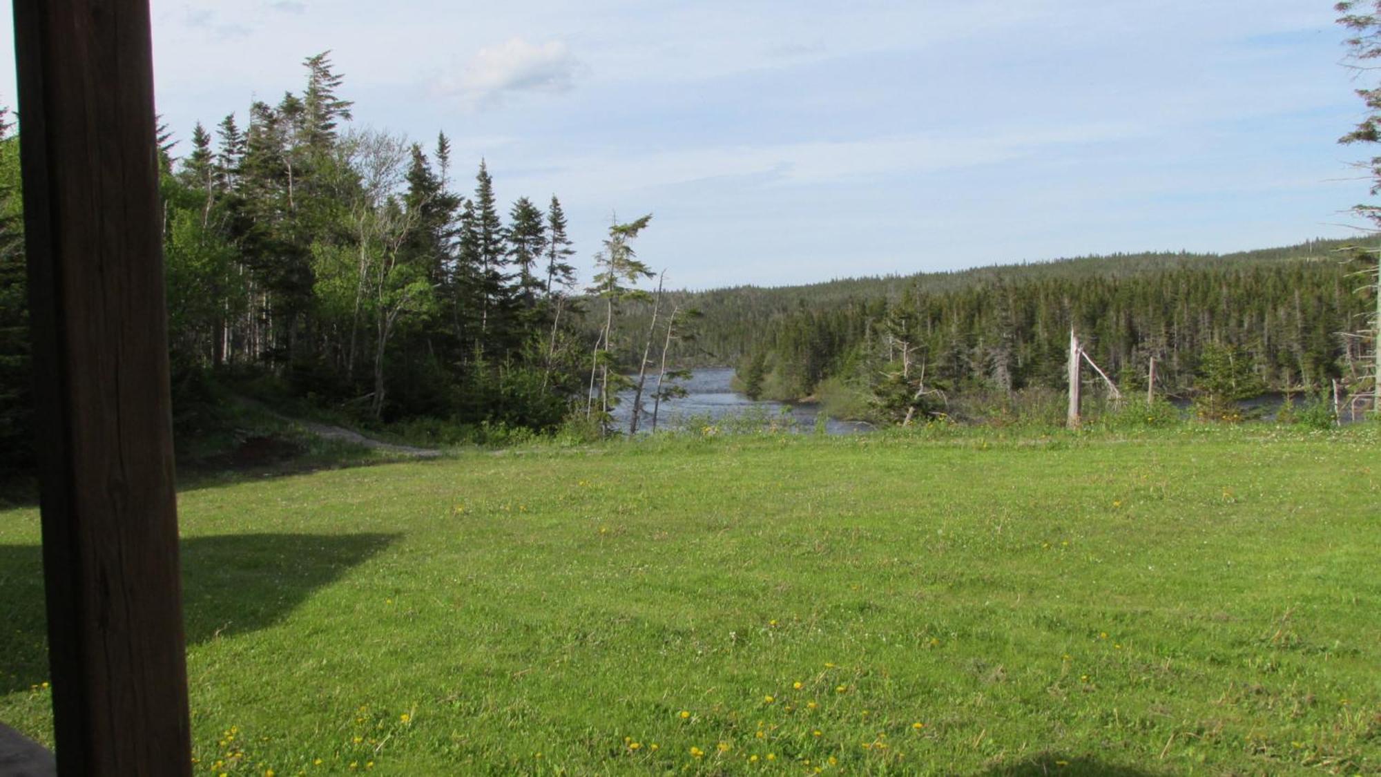 Riverside Chalets River of Ponds Buitenkant foto